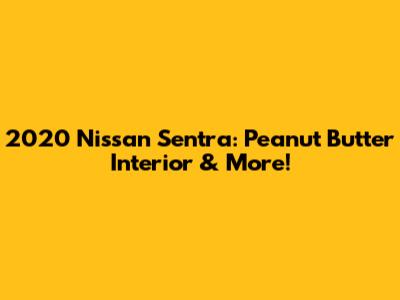 2020 Nissan Sentra: Peanut Butter Interior & More!