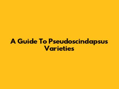 A Guide To Pseudoscindapsus Varieties