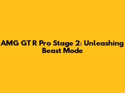 AMG GT R Pro Stage 2: Unleashing Beast Mode
