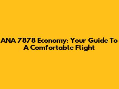 ANA 7878 Economy: Your Guide To A Comfortable Flight