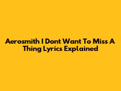 Aerosmith "I Don't Want To Miss A Thing" Lyrics Explained