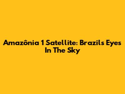 Amazônia 1 Satellite: Brazil's Eyes In The Sky