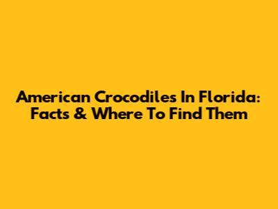 American Crocodiles In Florida: Facts & Where To Find Them