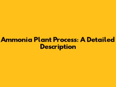 Ammonia Plant Process: A Detailed Description