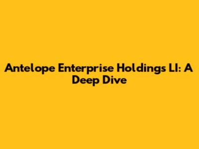 Antelope Enterprise Holdings LI: A Deep Dive