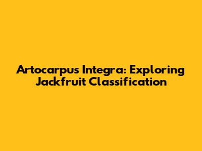 Artocarpus Integra: Exploring Jackfruit Classification