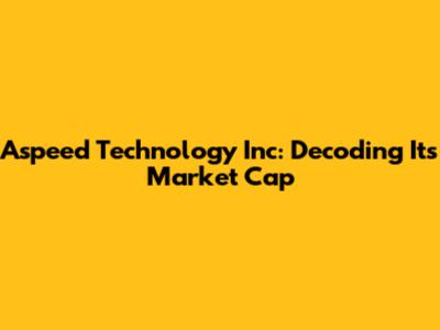 Aspeed Technology Inc: Decoding Its Market Cap