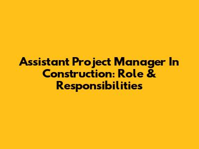 Assistant Project Manager In Construction: Role & Responsibilities