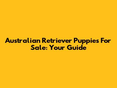 Australian Retriever Puppies For Sale: Your Guide