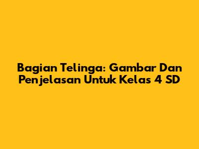 Bagian Telinga: Gambar Dan Penjelasan Untuk Kelas 4 SD