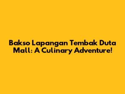 Bakso Lapangan Tembak Duta Mall: A Culinary Adventure!