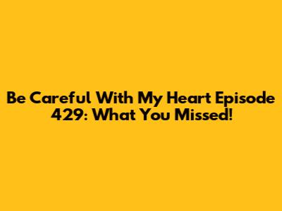 Be Careful With My Heart Episode 429: What You Missed!
