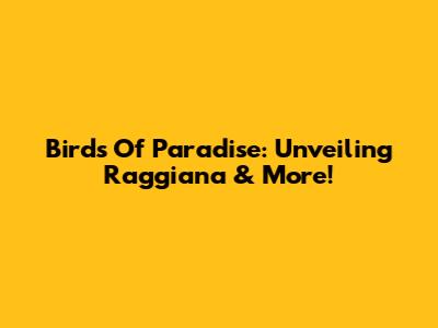 Birds Of Paradise: Unveiling Raggiana & More!