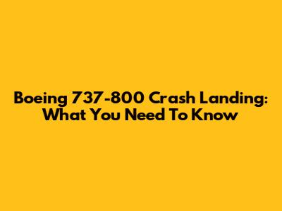 Boeing 737-800 Crash Landing: What You Need To Know