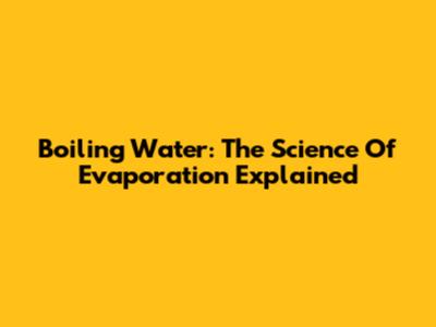Boiling Water: The Science Of Evaporation Explained
