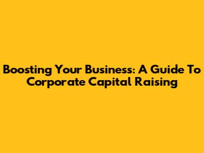 Boosting Your Business: A Guide To Corporate Capital Raising