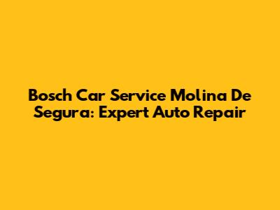 Bosch Car Service Molina De Segura: Expert Auto Repair