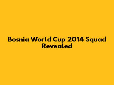 Bosnia World Cup 2014 Squad Revealed