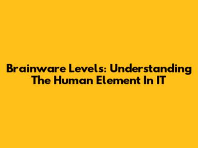 Brainware Levels: Understanding The Human Element In IT