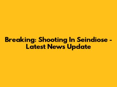 Breaking: Shooting In Seindiose - Latest News Update