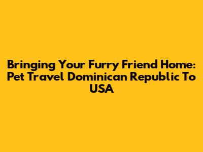 Bringing Your Furry Friend Home: Pet Travel Dominican Republic To USA