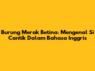 Burung Merak Betina: Mengenal Si Cantik Dalam Bahasa Inggris
