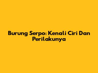 Burung Serpo: Kenali Ciri Dan Perilakunya