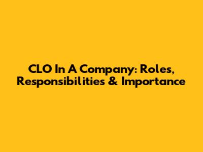 CLO In A Company: Roles, Responsibilities & Importance