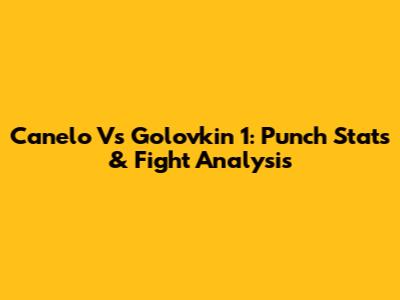 Canelo Vs Golovkin 1: Punch Stats & Fight Analysis