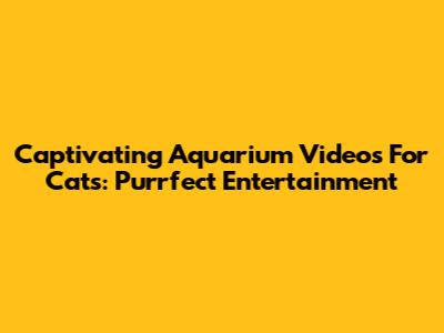 Captivating Aquarium Videos For Cats: Purrfect Entertainment