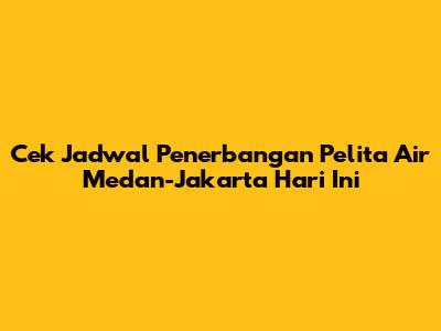 Cek Jadwal Penerbangan Pelita Air Medan-Jakarta Hari Ini