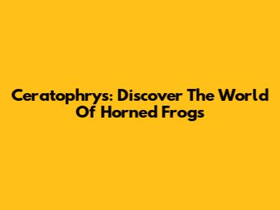 Ceratophrys: Discover The World Of Horned Frogs