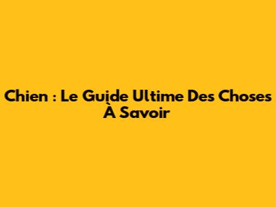 Chien : Le Guide Ultime Des Choses À Savoir