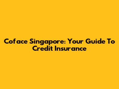 Coface Singapore: Your Guide To Credit Insurance