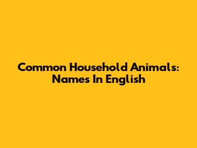 Common Household Animals: Names In English
