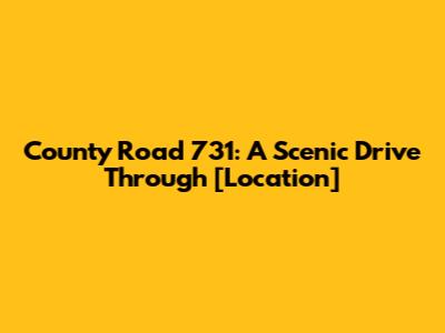 County Road 731: A Scenic Drive Through [Location]