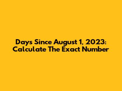 Days Since August 1, 2023: Calculate The Exact Number