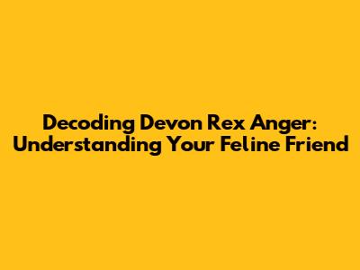 Decoding Devon Rex Anger: Understanding Your Feline Friend