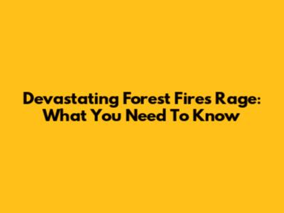 Devastating Forest Fires Rage: What You Need To Know