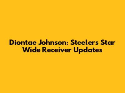 Diontae Johnson: Steelers' Star Wide Receiver Updates
