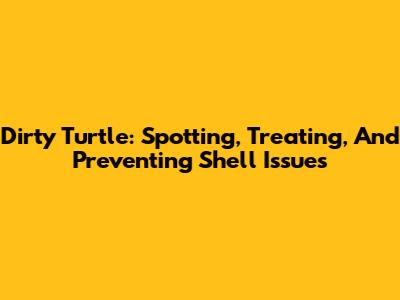 Dirty Turtle: Spotting, Treating, And Preventing Shell Issues