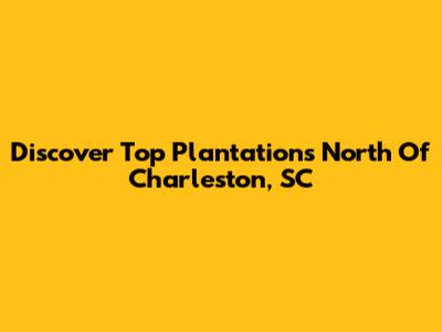 Discover Top Plantations North Of Charleston, SC