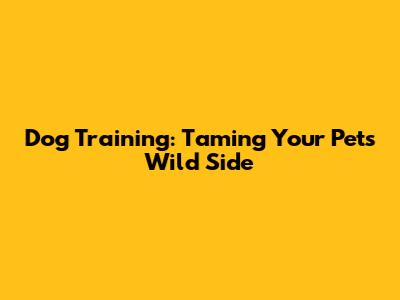 Dog Training: Taming Your Pet's Wild Side