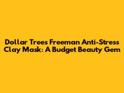 Dollar Tree's Freeman Anti-Stress Clay Mask: A Budget Beauty Gem