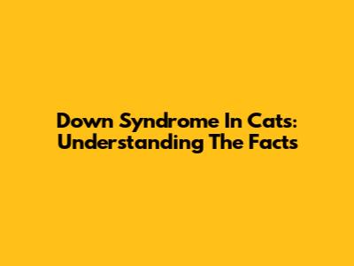 Down Syndrome In Cats: Understanding The Facts
