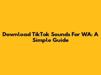 Download TikTok Sounds For WA: A Simple Guide