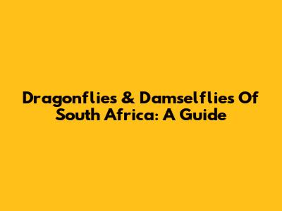Dragonflies & Damselflies Of South Africa: A Guide