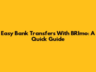 Easy Bank Transfers With BRImo: A Quick Guide