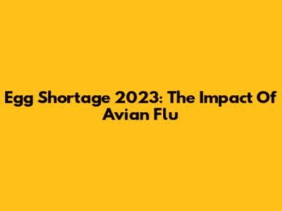 Egg Shortage 2023: The Impact Of Avian Flu