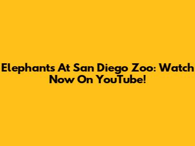 Elephants At San Diego Zoo: Watch Now On YouTube!